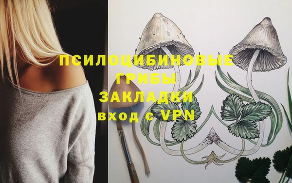 бошки Карпинск
