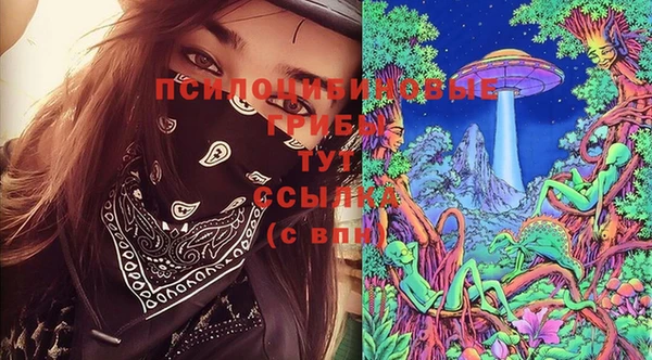 бошки Карпинск